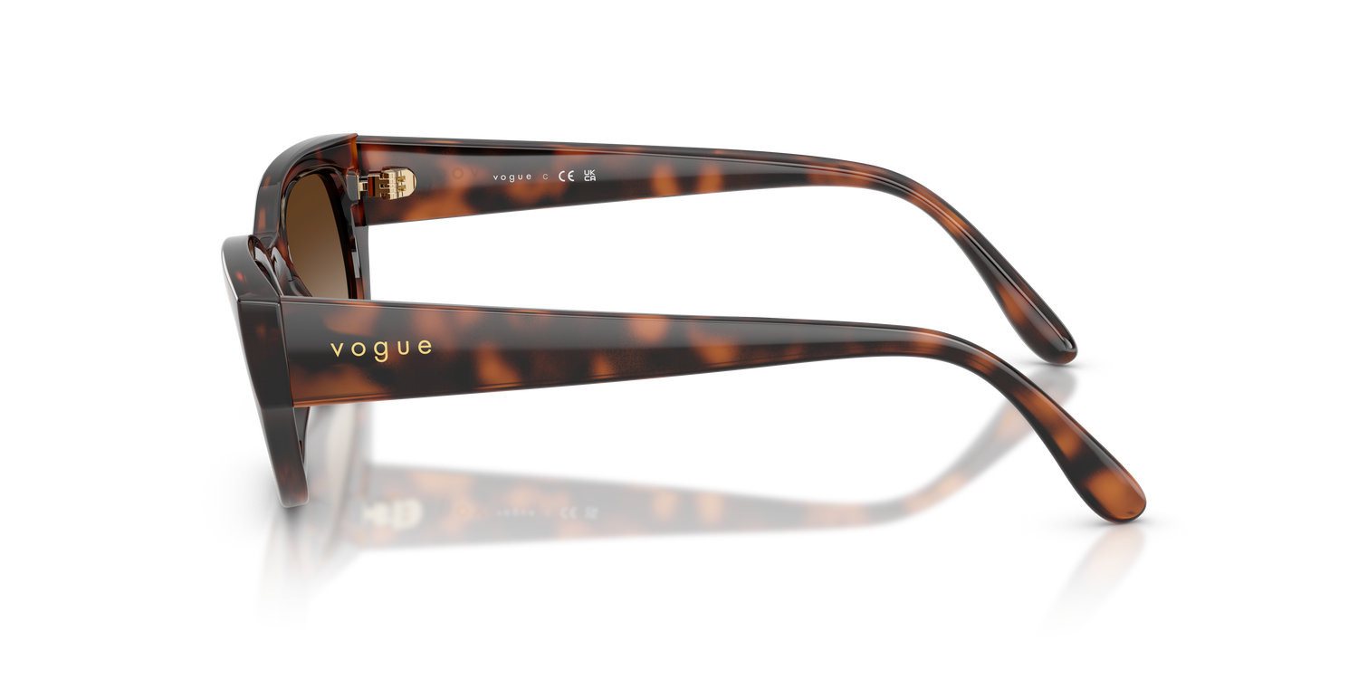VOGUE EYEWEAR VO5669S 271813 54