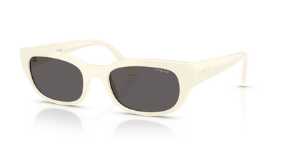 VOGUE EYEWEAR VO5669S 316787 54