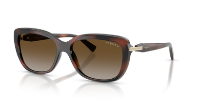 VOGUE EYEWEAR VO5678SB 2386T5 55