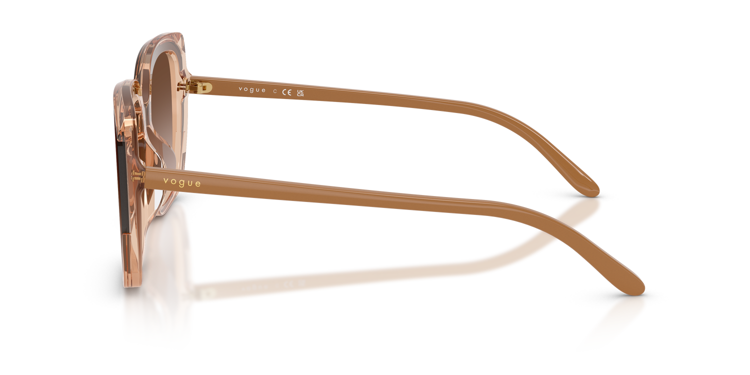 VOGUE EYEWEAR VO5684SD 318113 65