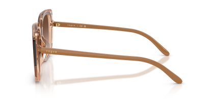 VOGUE EYEWEAR VO5684SD 318113 65