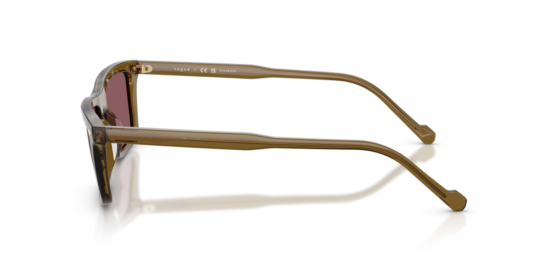 VOGUE EYEWEAR VO5687S 3260LB 55