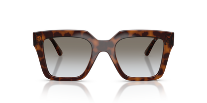 VOGUE EYEWEAR VO5690S 23868G 49