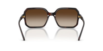 VOGUE EYEWEAR VO5696S 238613 55
