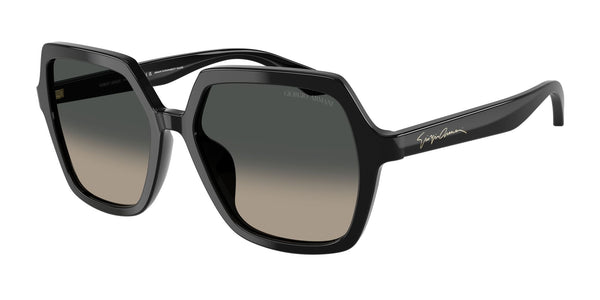 GIORGIO ARMANI AR8193U 500119 55