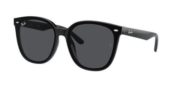 RAY-BAN RB4423D 601/87 66