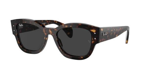 RAY-BAN RB7681S JORGE 902/48 52