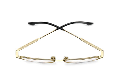 VICTORIA BECKHAM VB 1026 RHL 55