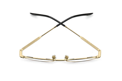 VICTORIA BECKHAM VB 1025 RHL 50