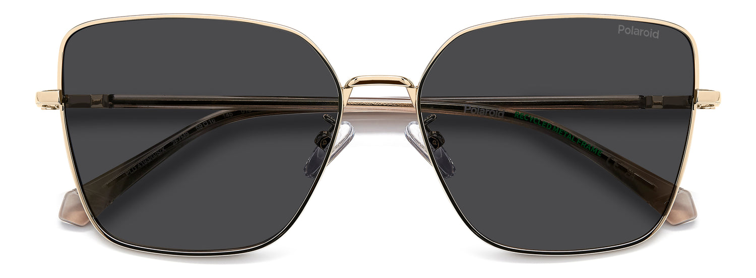 POLAROID PLD 4193/G/S/X 2F7 M9 59