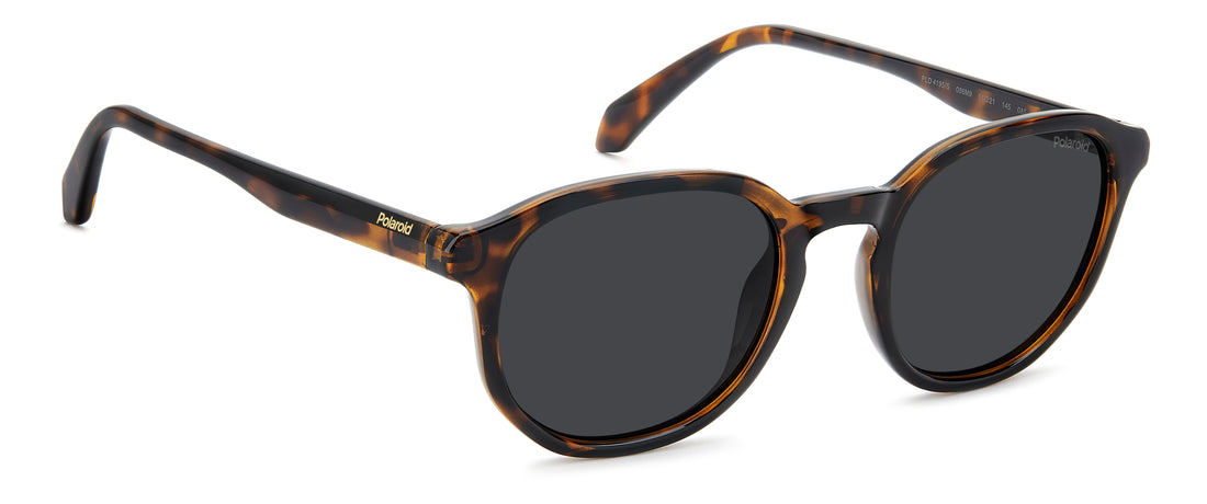 Occhiali da sole polaroid pld 4195/s 086 m9 havana square masculino taglia 51mm - Vista dettagliata
