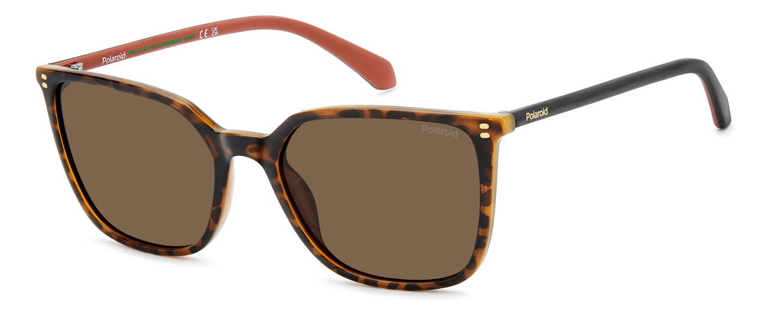 Óculos de sol polaroid pld 4209/s/x 086 sp havana square femenino tamanho 56mm - Vista principal