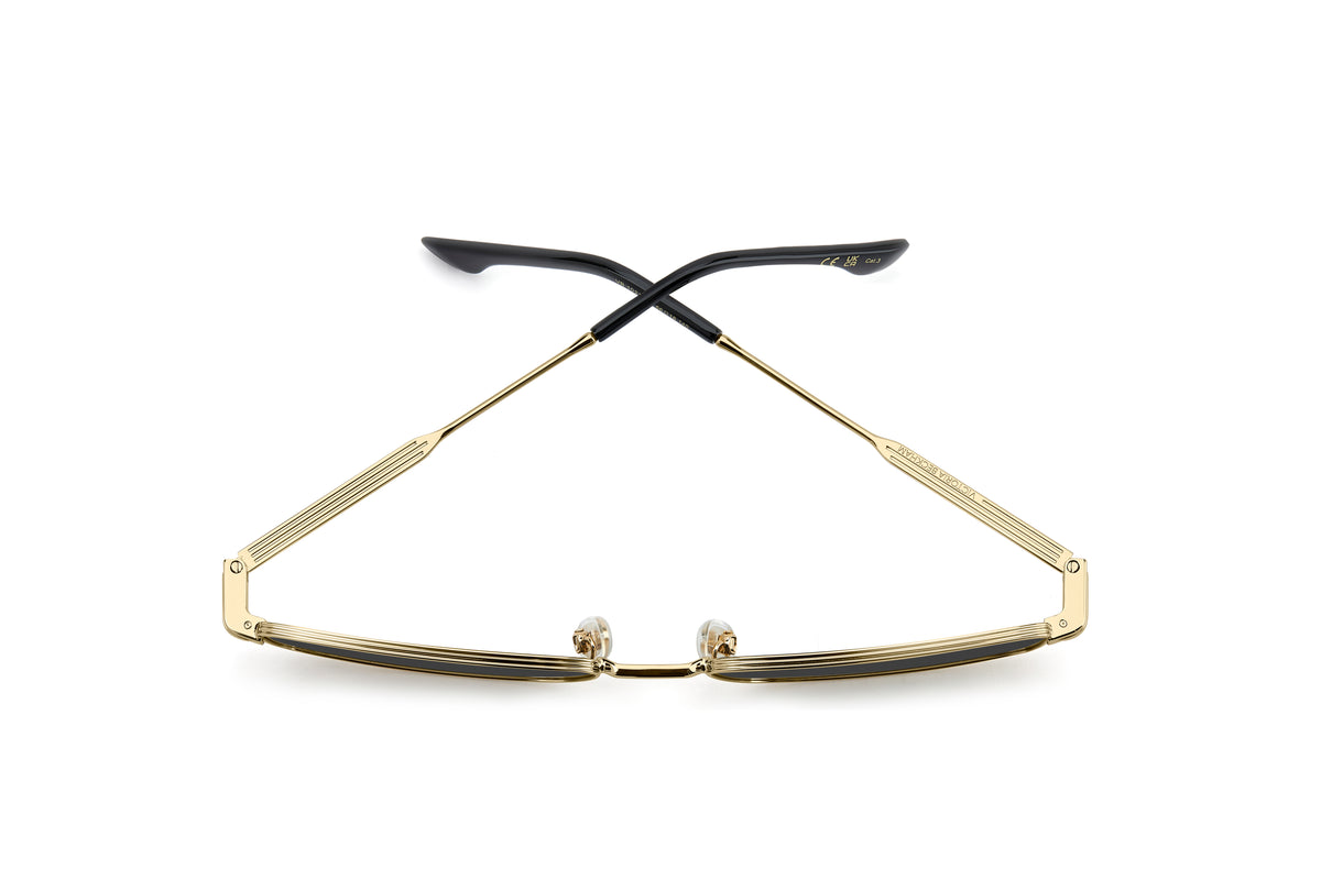 VICTORIA BECKHAM VB 1021/S RHL IR 56