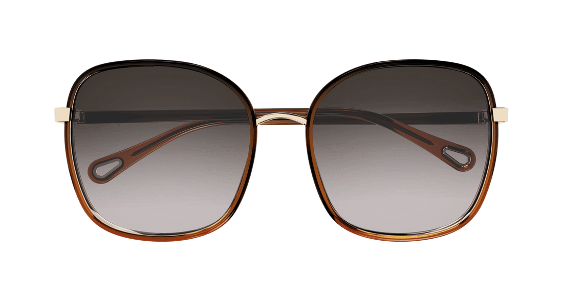 CHLOÉ CH0031S 005 59