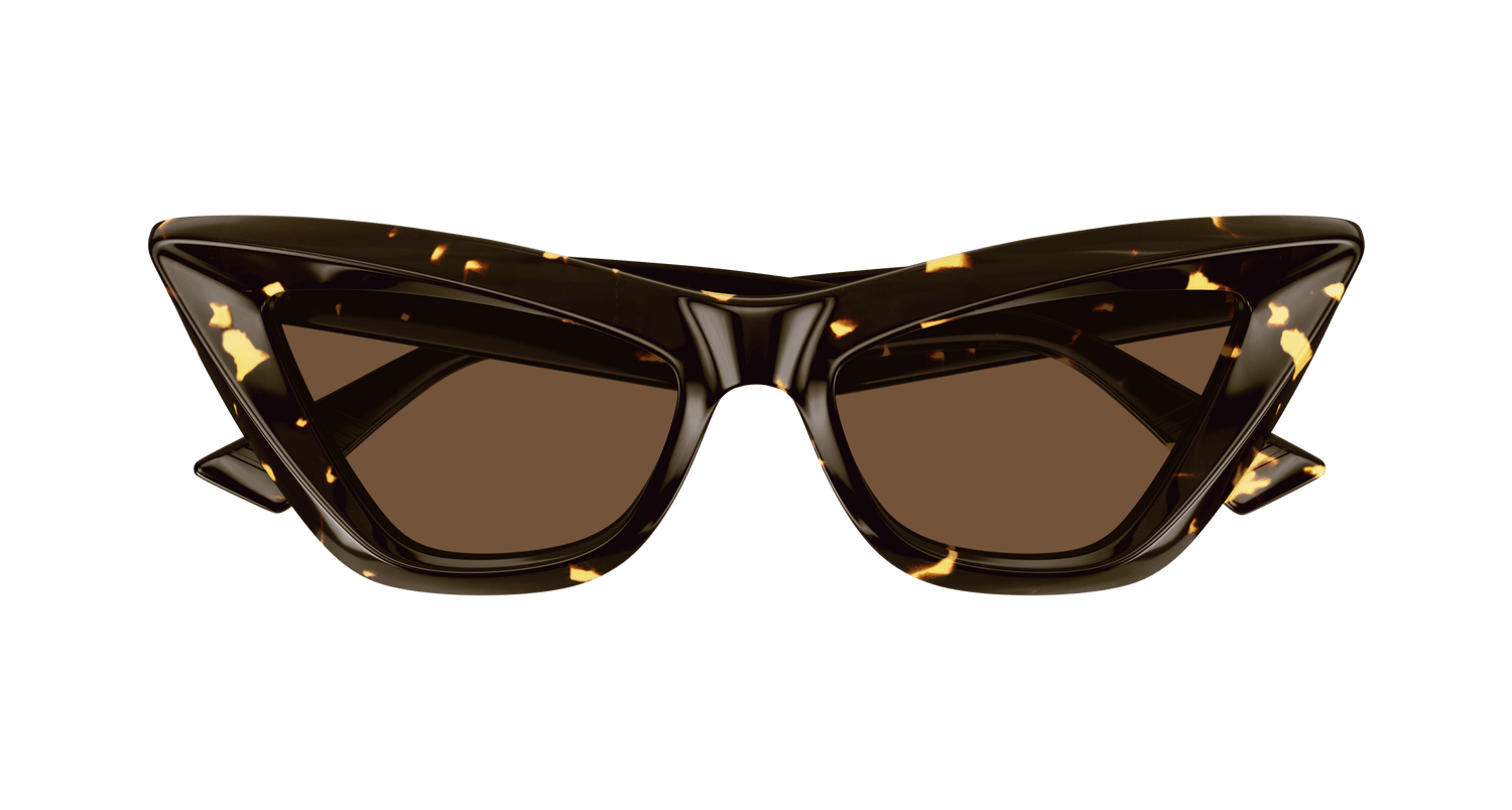 Bottega Veneta BV1101S 002 53