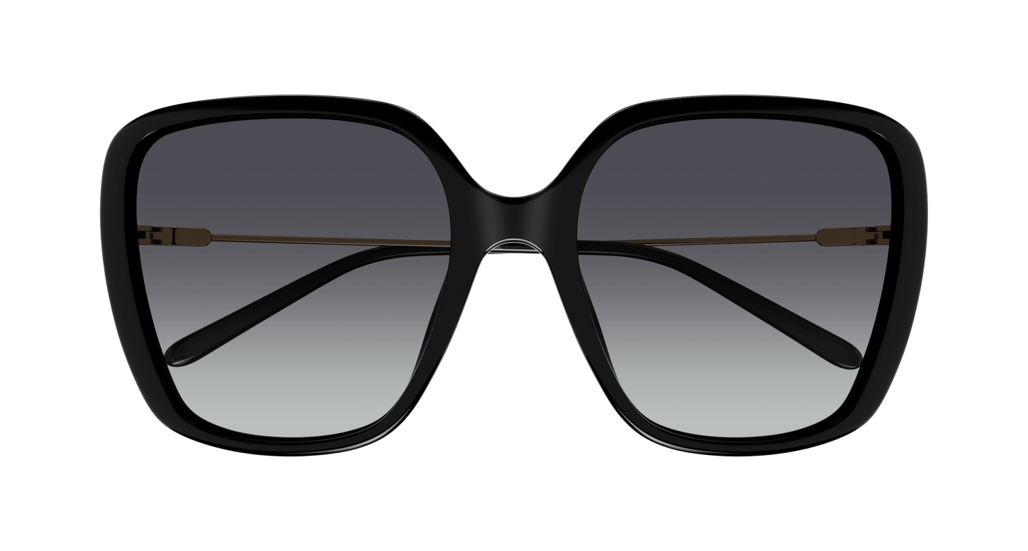 CHLOÉ CH0173S 001 57