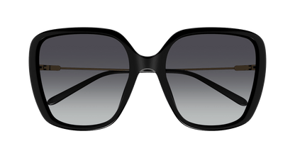 CHLOÉ CH0173S 001 57