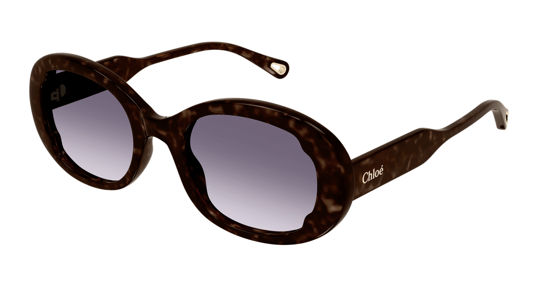 Sonnenbrillen chloé ch0197sa 002 femenino größe 54mm - Hauptansicht