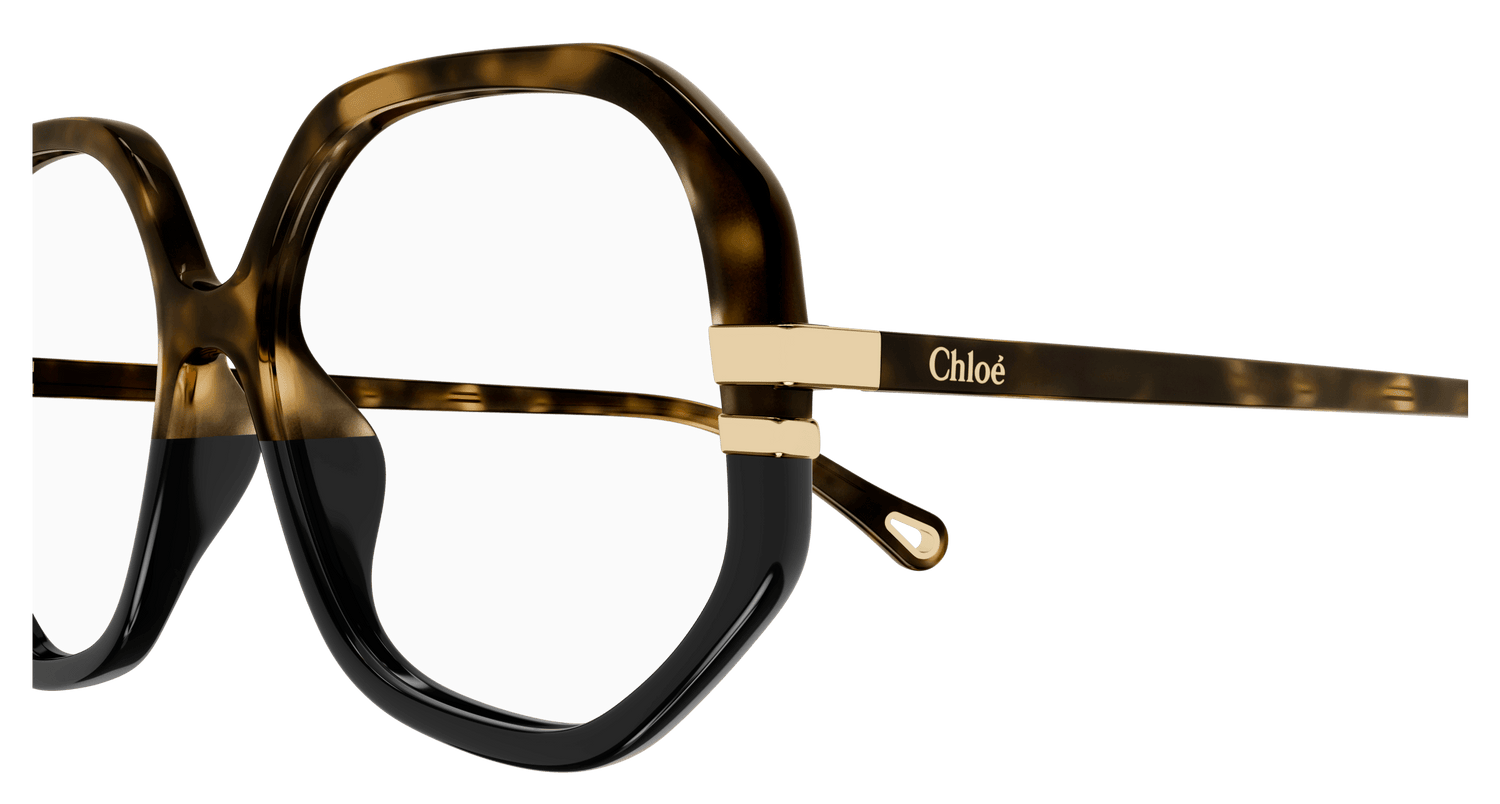 CHLOÉ CH0107O 011 54
