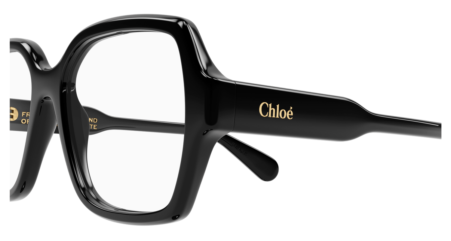 CHLOÉ CH0155O 001 53