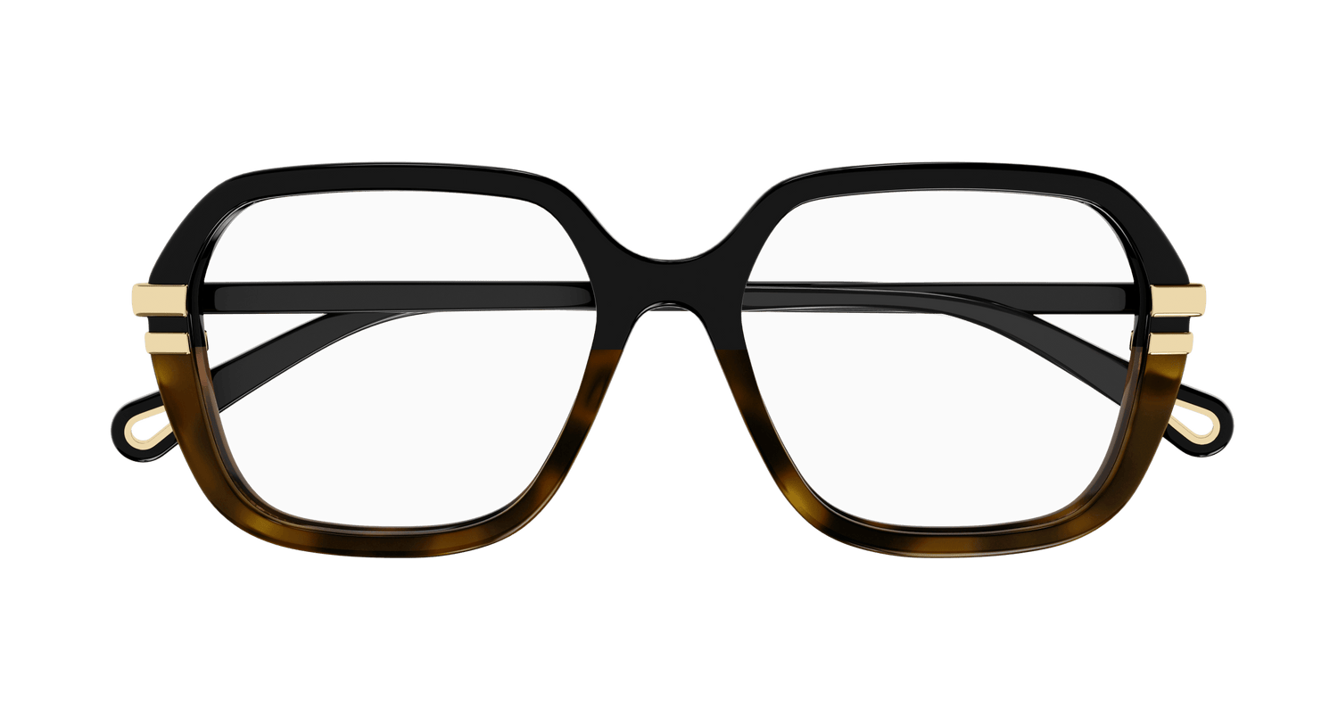 CHLOÉ CH0205O 003 53