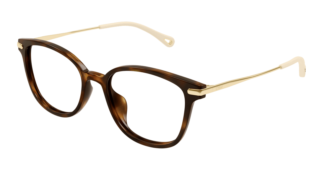 Brillen chloé ch0219oa 002 femenino größe 53mm - Hauptansicht