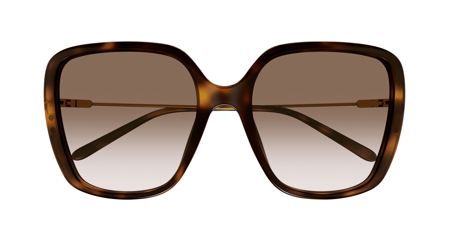 CHLOÉ CH0173S 002 57