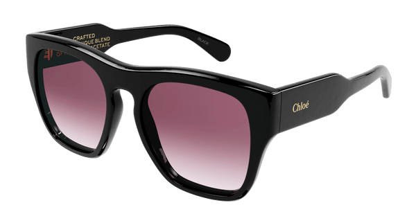 CHLOÉ CH0149S 001 55