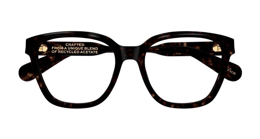 Dioptrijske naočale chloé ch0265o 002 havana round/oval/panthos femenino veličina 54mm - Detaljni prikaz