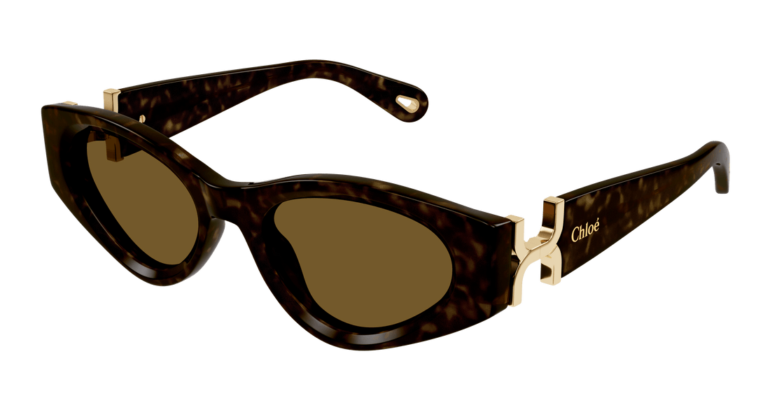 Óculos de sol chloé ch0259s 002 havana cat eye femenino tamanho 52mm - Vista principal