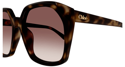 CHLOÉ CH0280S 006 57