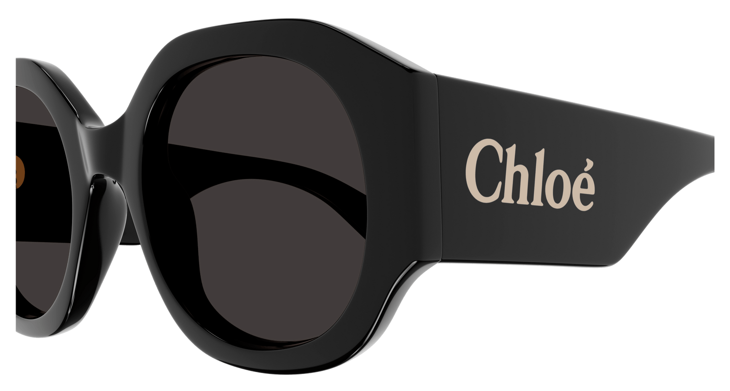 CHLOÉ CH0234S 001 53