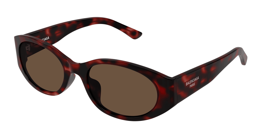 Gafas de sol balenciaga bb0369sk 003 havana round/oval/panthos femenino talla 55mm - Vista principal