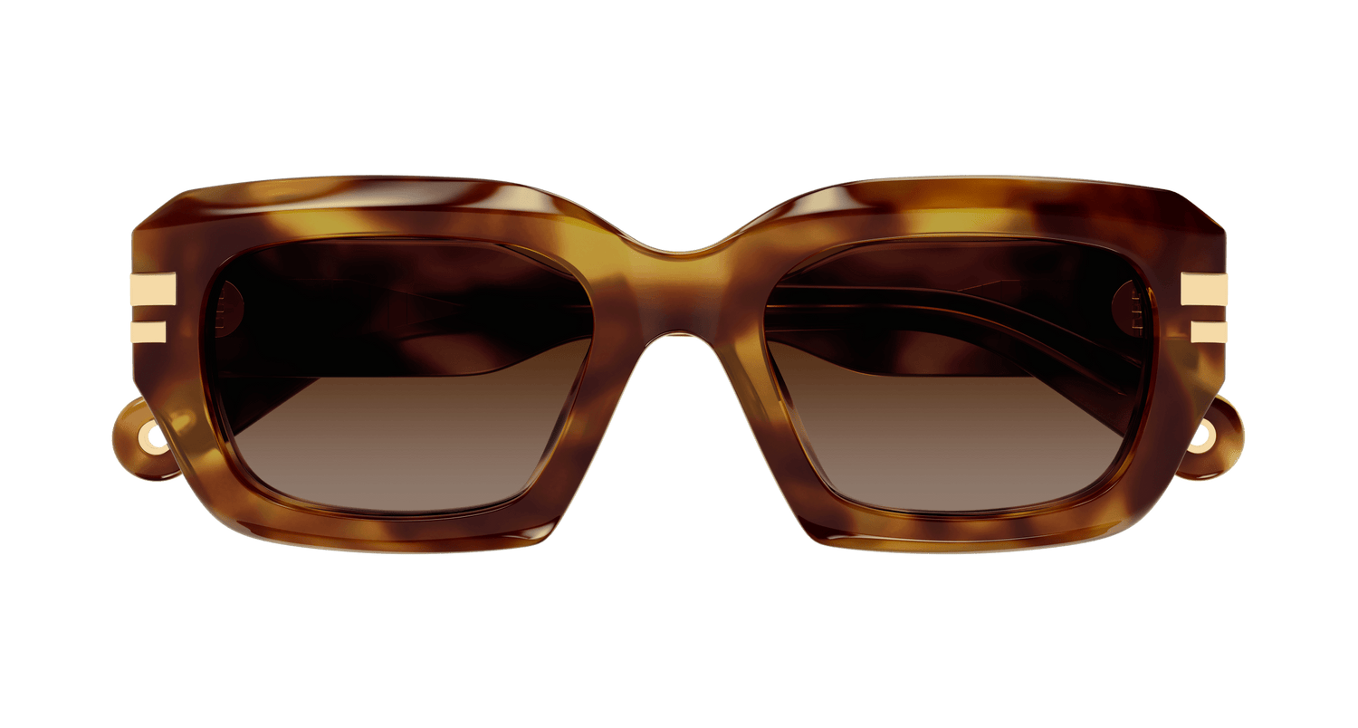 CHLOÉ CH0256S 002 53
