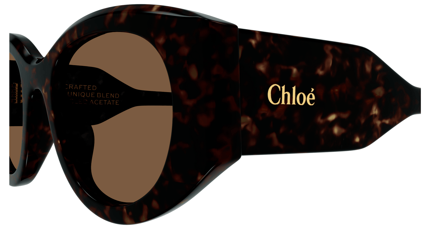 CHLOÉ CH0251S 002 51