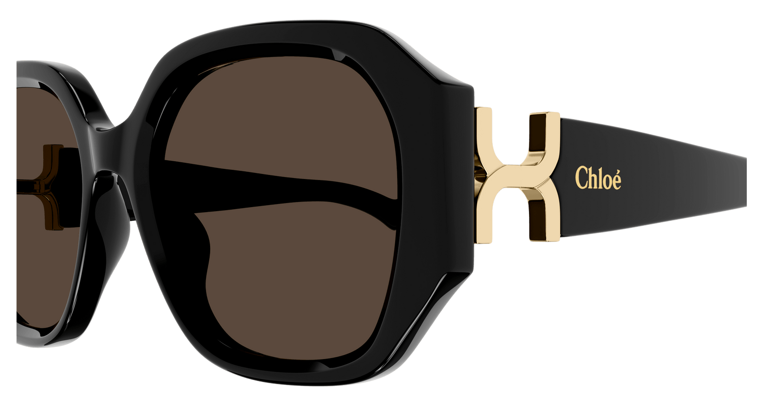 CHLOÉ CH0236S 001 56