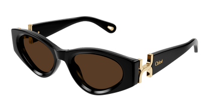 CHLOÉ CH0259S 001 52