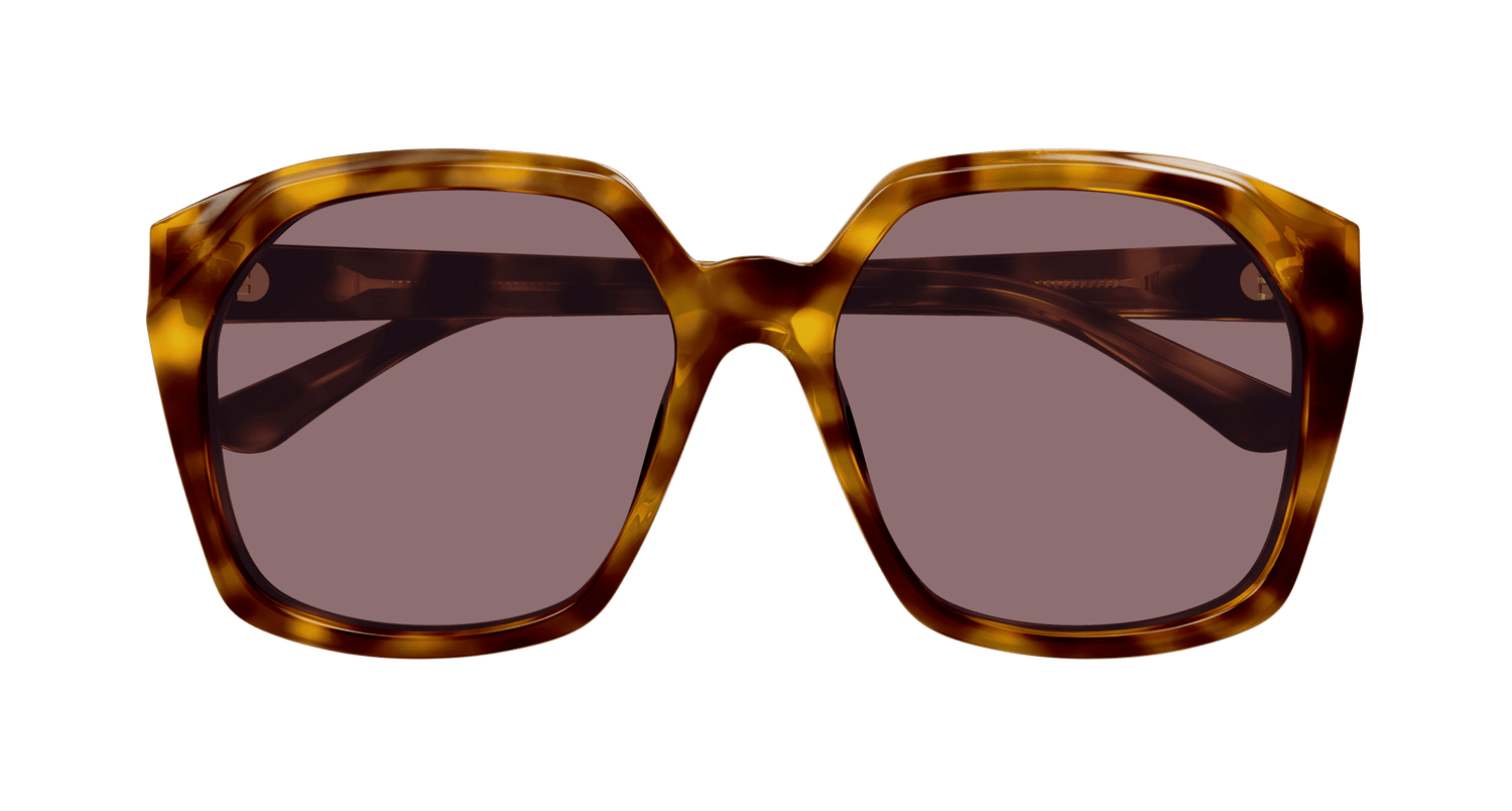 CHLOÉ CH0280S 004 57