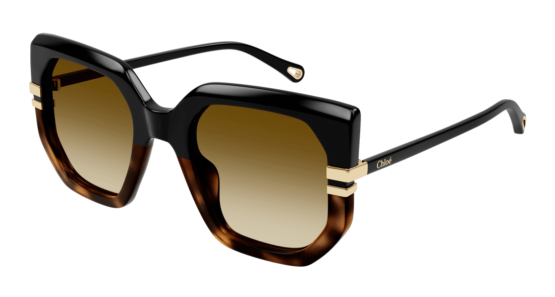 Sonnenbrillen chloé ch0240s 003 irregular femenino größe 53mm - Hauptansicht