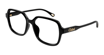 CHLOÉ CH0277OA 001 53