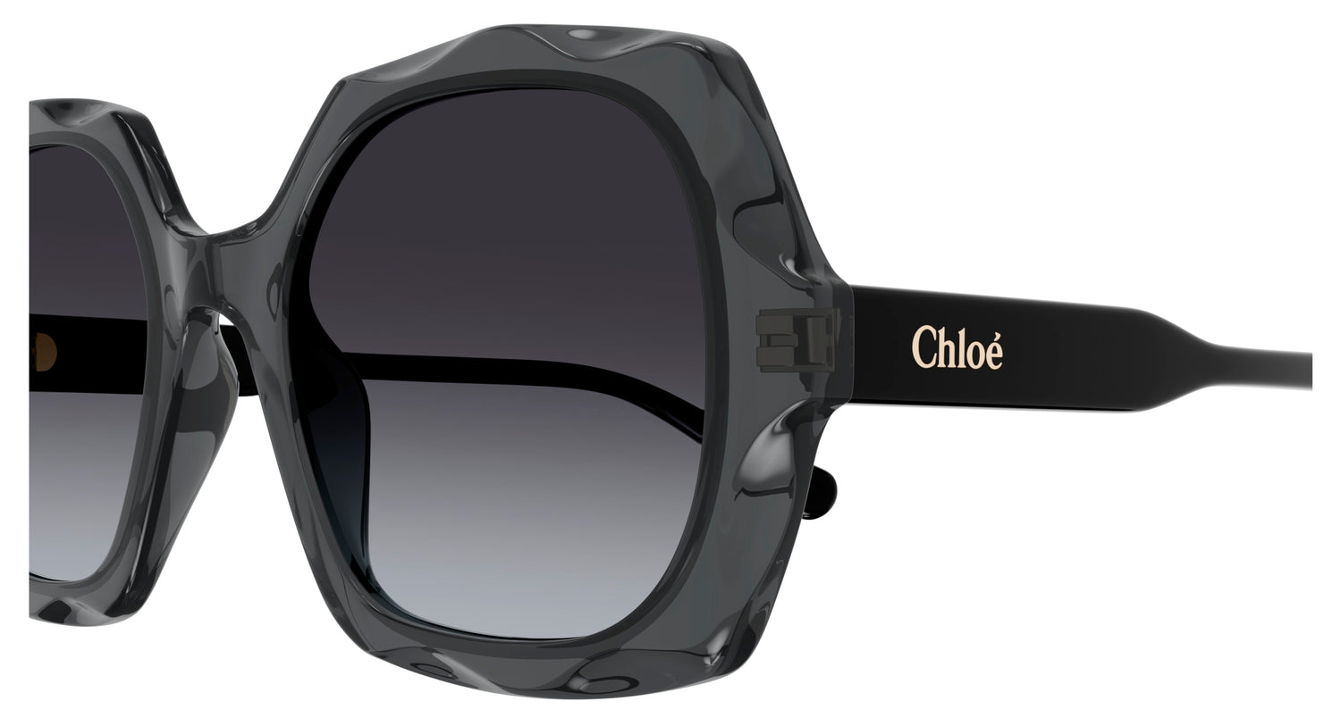 CHLOÉ CH0226S 001 53
