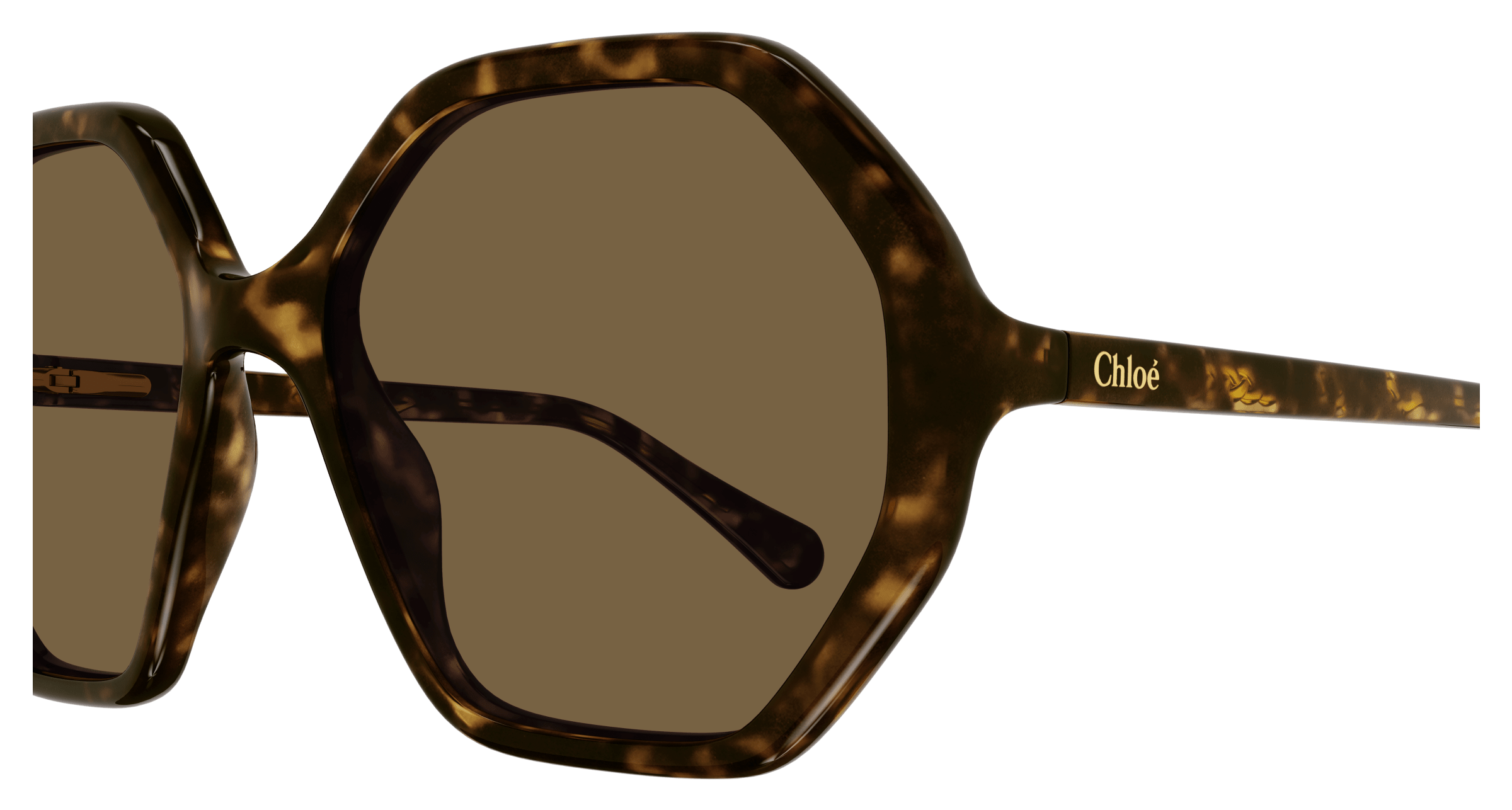 CHLOÉ CC0004S 008 51