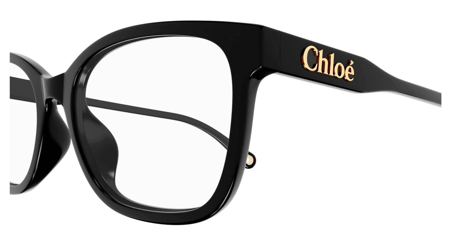 CHLOÉ CH0276OA 001 54