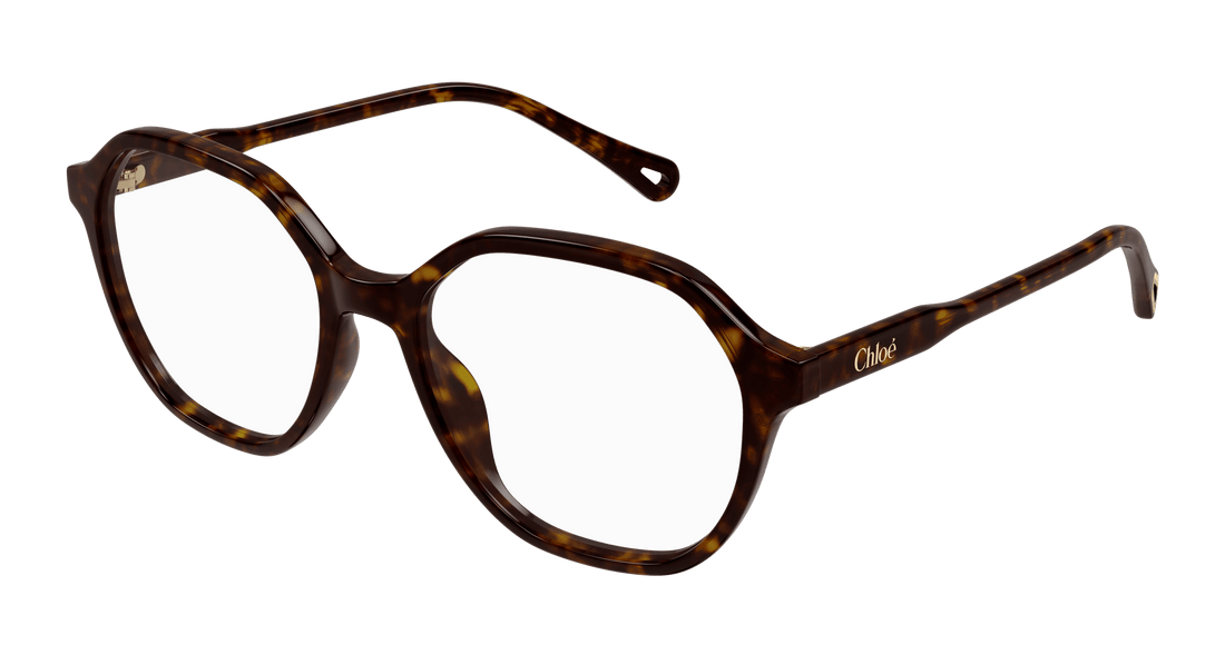 Brillen chloé ch0312o 002 havana square femenino größe 53mm - Hauptansicht