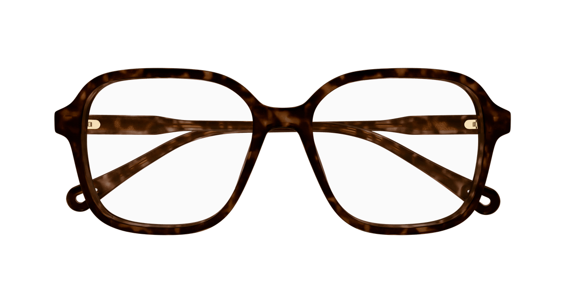 Brillen chloé ch0313o 002 havana square femenino größe 54mm - Detailansicht