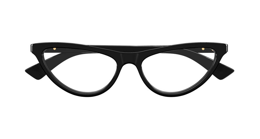 Bottega Veneta BV1416O 001 55