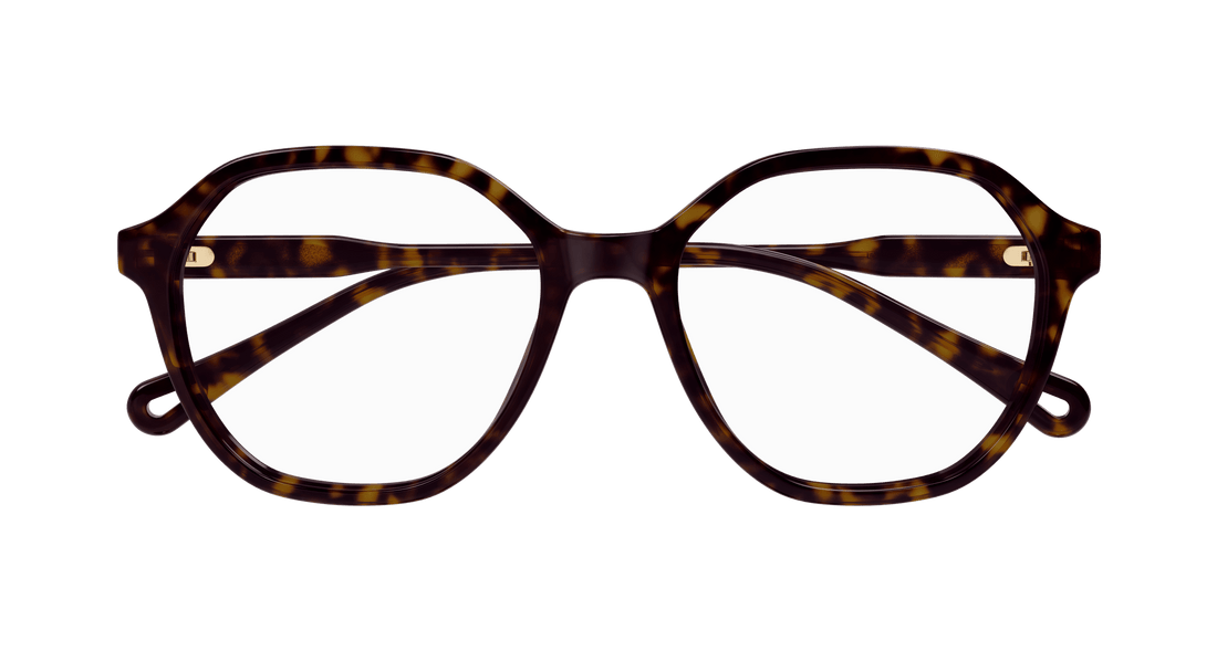 Brillen chloé ch0312o 002 havana square femenino größe 53mm - Detailansicht