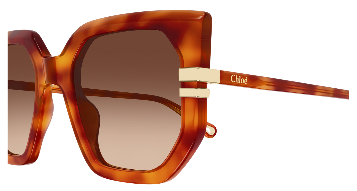 CHLOÉ CH0240S 007 53