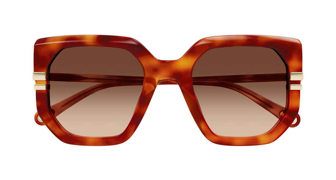 Occhiali da sole chloé ch0240s 007 havana geometric femenino taglia 53mm - Vista dettagliata