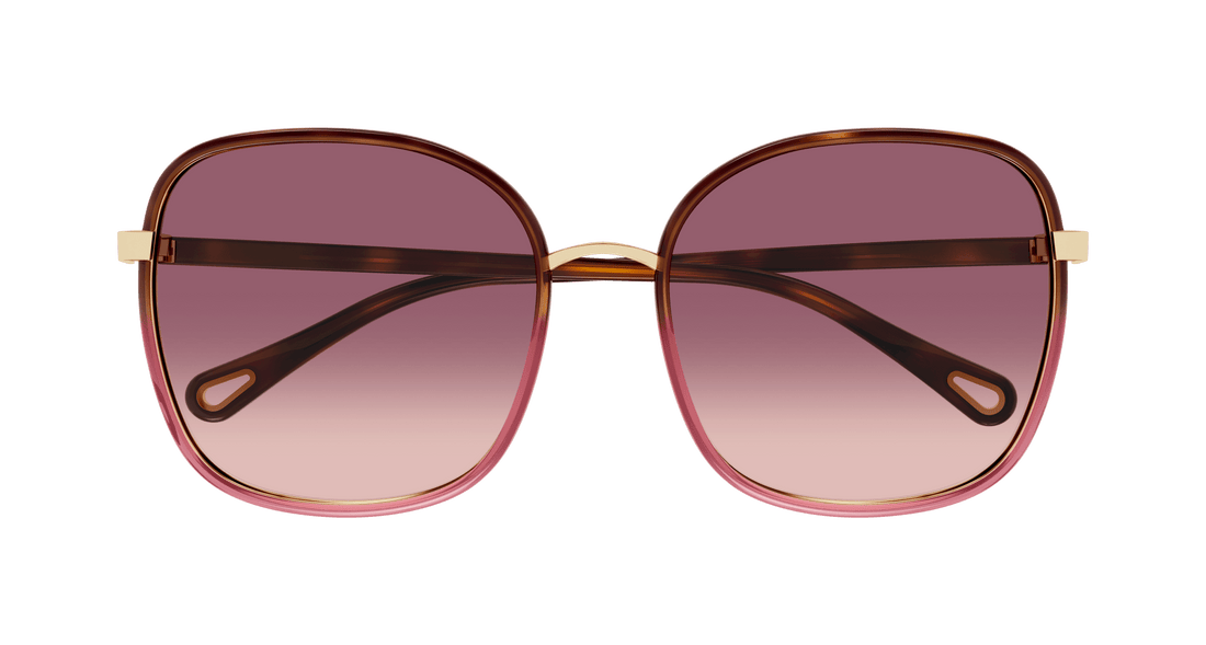 Gafas de sol chloé ch0031s 018 havana square femenino talla 59mm - Vista de detalle